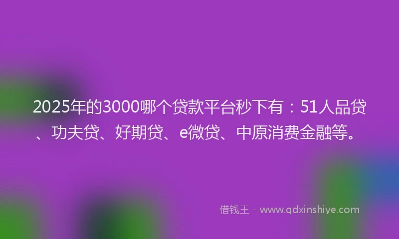 2025年的3000哪个贷款平台秒下有：51人品贷、功夫贷、好期贷、e微贷、中原消费金融等。