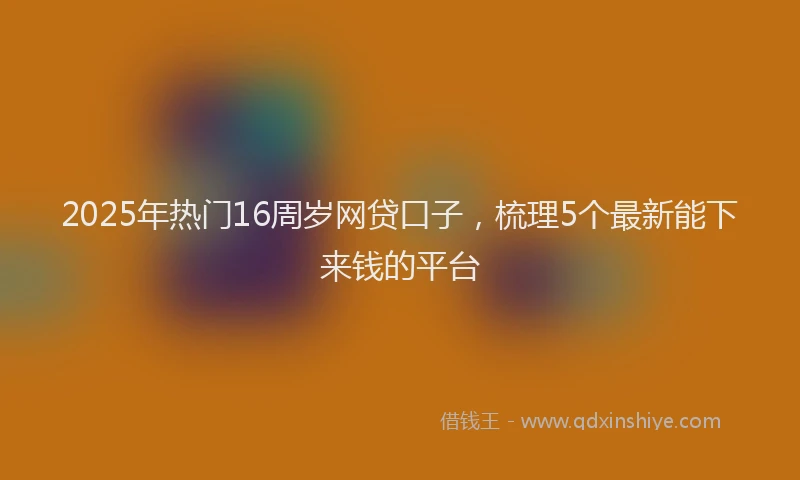 2025年热门16周岁网贷口子，梳理5个最新能下来钱的平台