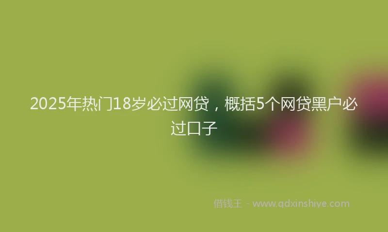 2025年热门18岁必过网贷，概括5个网贷黑户必过口子
