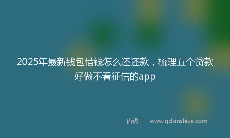 2025年最新钱包借钱怎么还还款，梳理五个贷款好做不看征信的app