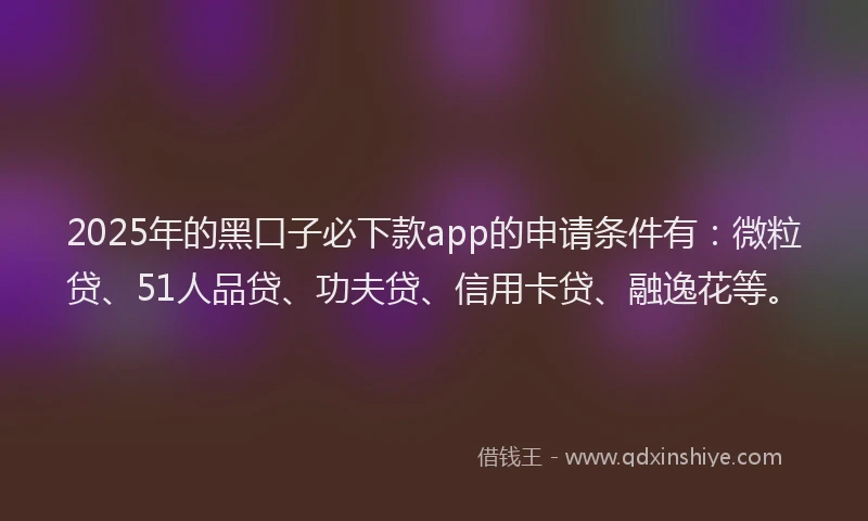 2025年的黑口子必下款app的申请条件有：微粒贷、51人品贷、功夫贷、信用卡贷、融逸花等。