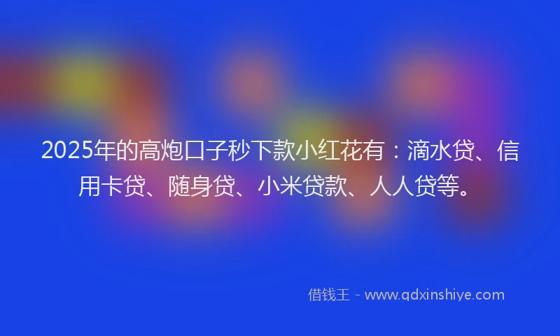 2025年的高炮口子秒下款小红花有：滴水贷、信用卡贷、随身贷、小米贷款、人人贷等。