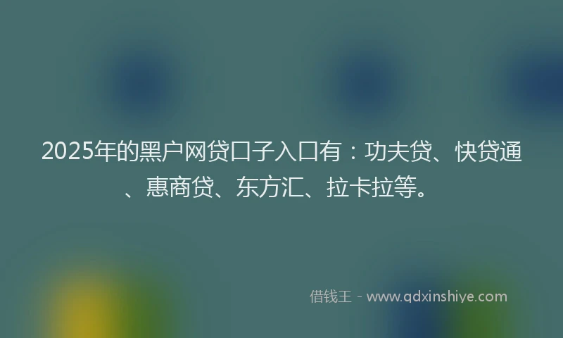 2025年的黑户网贷口子入口有：功夫贷、快贷通、惠商贷、东方汇、拉卡拉等。