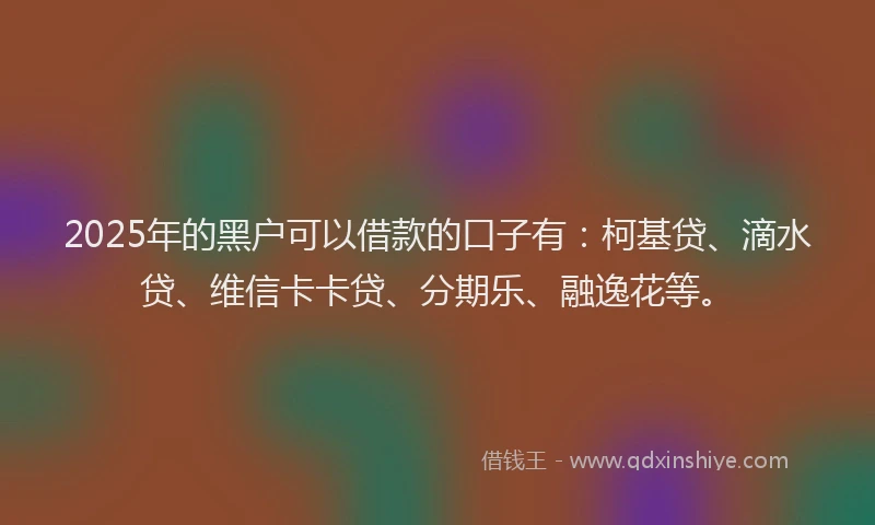2025年的黑户可以借款的口子有：柯基贷、滴水贷、维信卡卡贷、分期乐、融逸花等。