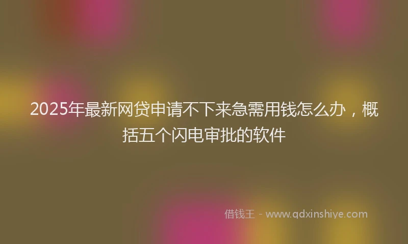 2025年最新网贷申请不下来急需用钱怎么办，概括五个闪电审批的软件