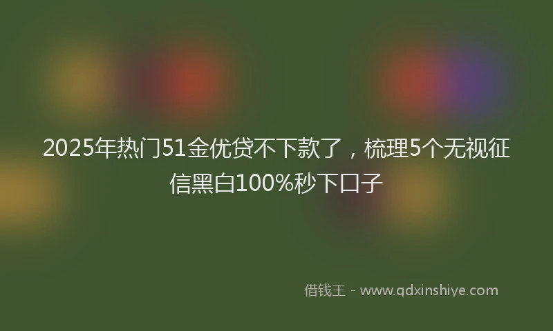 2025年热门51金优贷不下款了，梳理5个无视征信黑白100%秒下口子