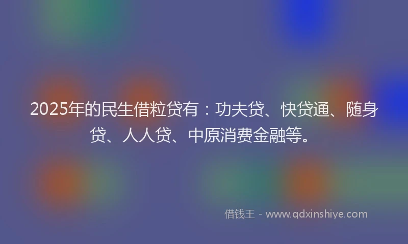 2025年的民生借粒贷有：功夫贷、快贷通、随身贷、人人贷、中原消费金融等。