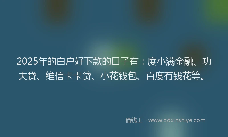 2025年的白户好下款的口子有：度小满金融、功夫贷、维信卡卡贷、小花钱包、百度有钱花等。