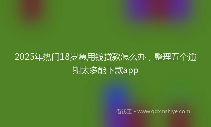 2025年热门18岁急用钱贷款怎么办，整理五个逾期太多能下款app
