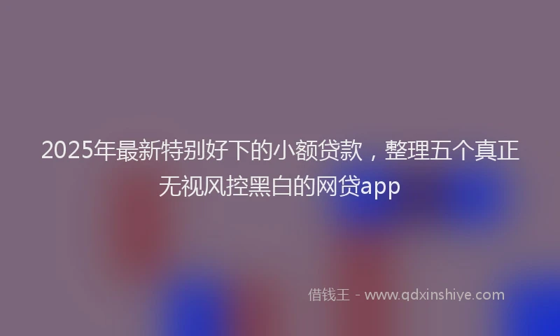 2025年最新特别好下的小额贷款，整理五个真正无视风控黑白的网贷app