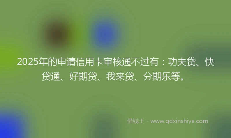 2025年的申请信用卡审核通不过有：功夫贷、快贷通、好期贷、我来贷、分期乐等。
