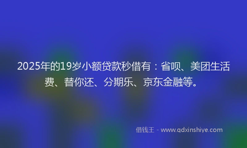 2025年的19岁小额贷款秒借有：省呗、美团生活费、替你还、分期乐、京东金融等。