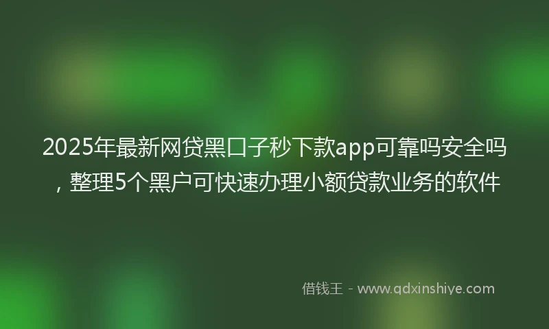 2025年最新网贷黑口子秒下款app可靠吗安全吗，整理5个黑户可快速办理小额贷款业务的软件