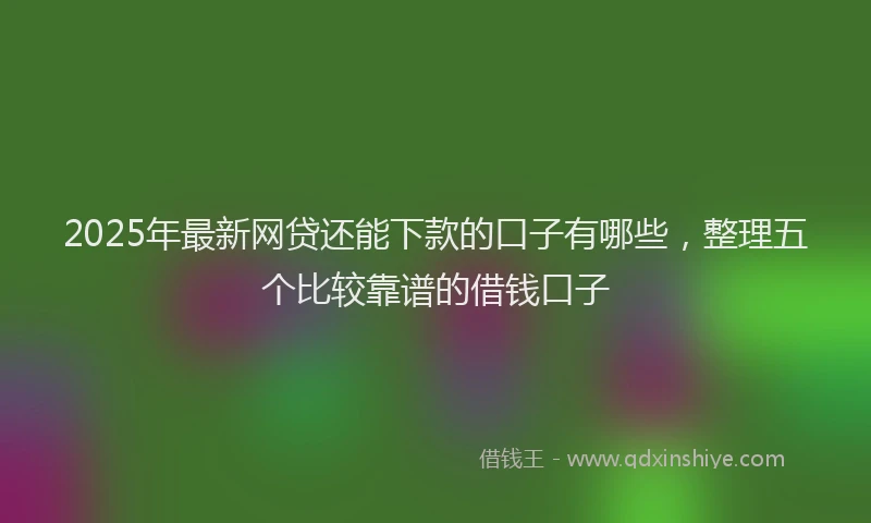2025年最新网贷还能下款的口子有哪些，整理五个比较靠谱的借钱口子