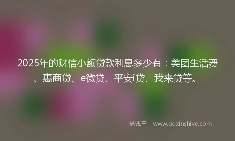 2025年的财信小额贷款利息多少有：美团生活费、惠商贷、e微贷、平安i贷、我来贷等。