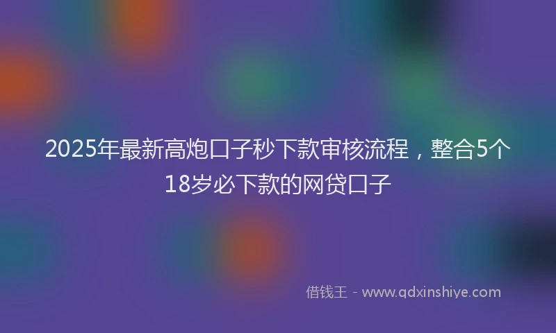 2025年最新高炮口子秒下款审核流程，整合5个18岁必下款的网贷口子