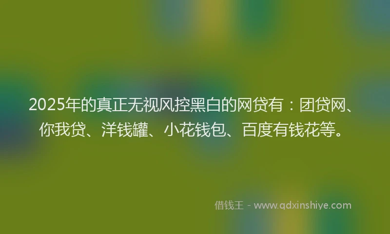 2025年的真正无视风控黑白的网贷有：团贷网、你我贷、洋钱罐、小花钱包、百度有钱花等。