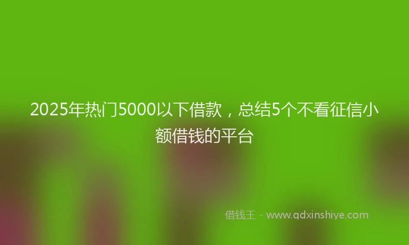 2025年热门5000以下借款，总结5个不看征信小额借钱的平台