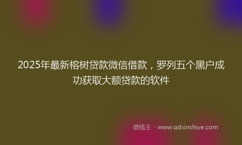 2025年最新榕树贷款微信借款，罗列五个黑户成功获取大额贷款的软件