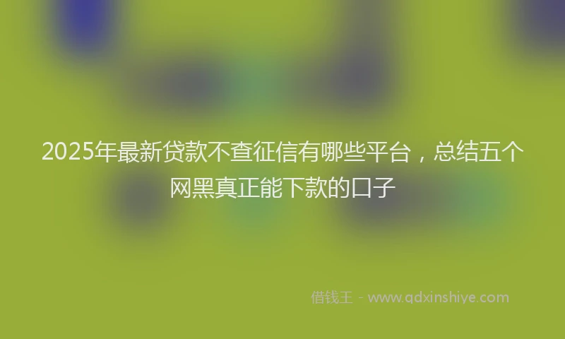 2025年最新贷款不查征信有哪些平台，总结五个网黑真正能下款的口子