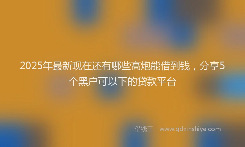 2025年最新现在还有哪些高炮能借到钱，分享5个黑户可以下的贷款平台