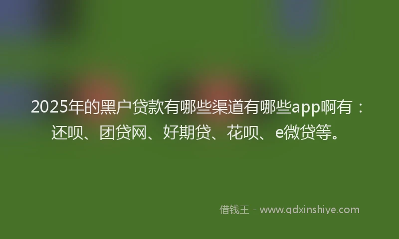 2025年的黑户贷款有哪些渠道有哪些app啊有：还呗、团贷网、好期贷、花呗、e微贷等。