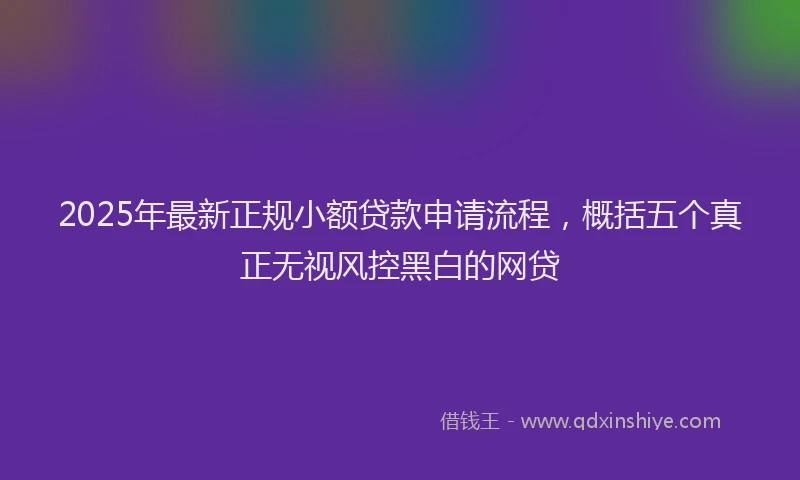 2025年最新正规小额贷款申请流程，概括五个真正无视风控黑白的网贷