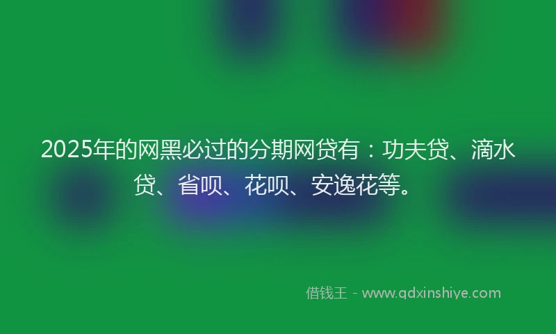 2025年的网黑必过的分期网贷有：功夫贷、滴水贷、省呗、花呗、安逸花等。