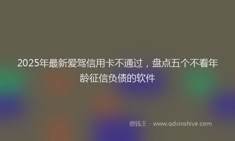 2025年最新爱驾信用卡不通过，盘点五个不看年龄征信负债的软件