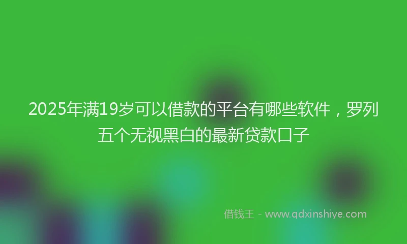 2025年满19岁可以借款的平台有哪些软件，罗列五个无视黑白的最新贷款口子