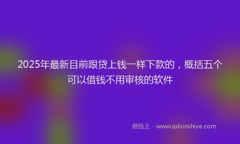 2025年最新目前跟贷上钱一样下款的，概括五个可以借钱不用审核的软件