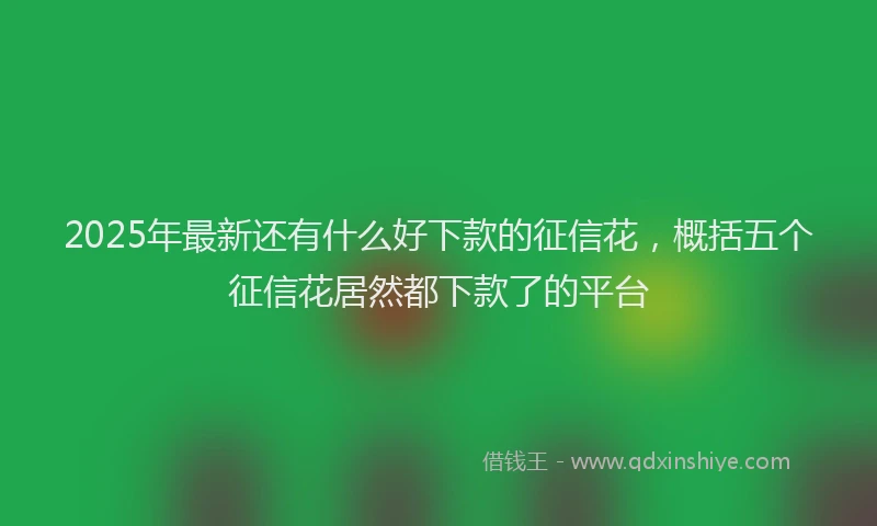 2025年最新还有什么好下款的征信花，概括五个征信花居然都下款了的平台