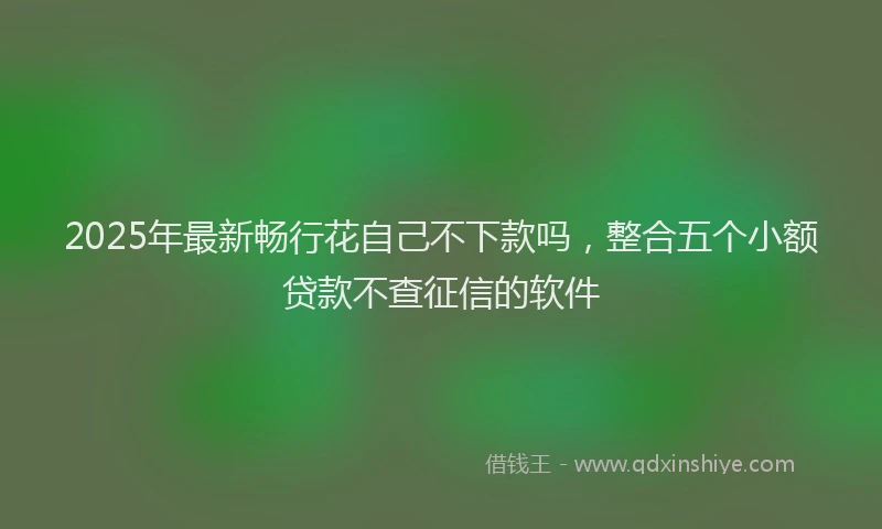 2025年最新畅行花自己不下款吗，整合五个小额贷款不查征信的软件