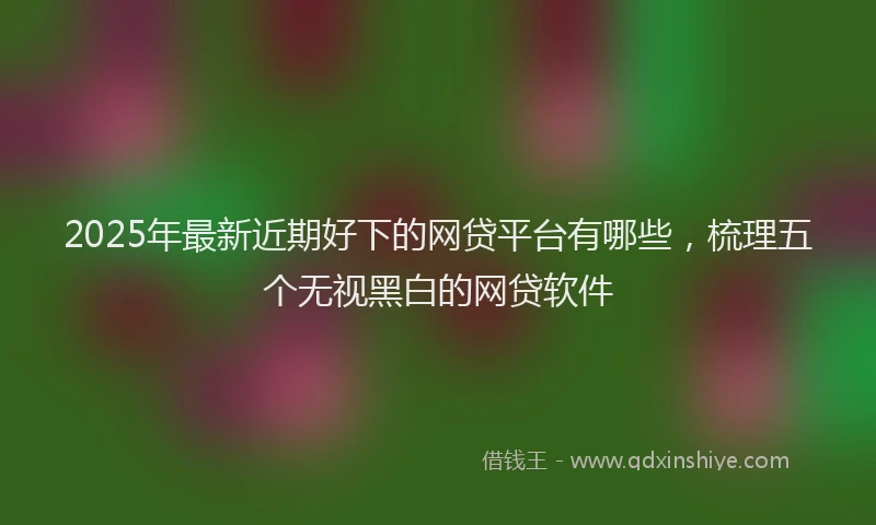 2025年最新近期好下的网贷平台有哪些，梳理五个无视黑白的网贷软件