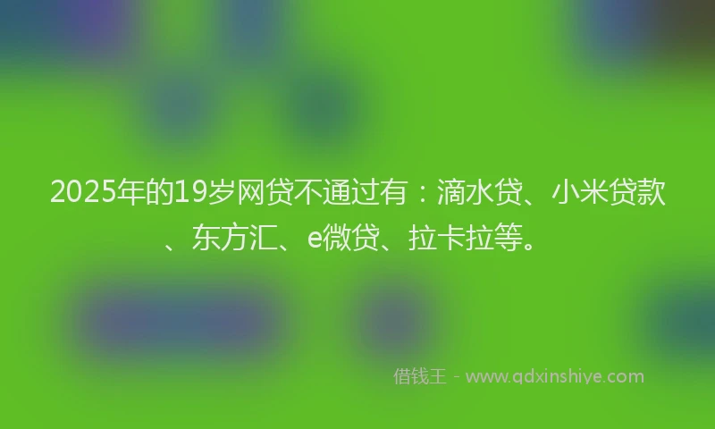 2025年的19岁网贷不通过有：滴水贷、小米贷款、东方汇、e微贷、拉卡拉等。
