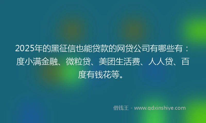 2025年的黑征信也能贷款的网贷公司有哪些有：度小满金融、微粒贷、美团生活费、人人贷、百度有钱花等。