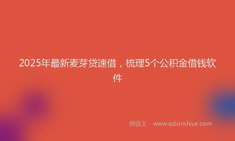 2025年最新麦芽贷速借，梳理5个公积金借钱软件