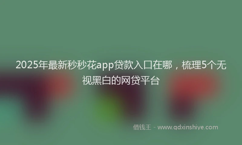 2025年最新秒秒花app贷款入口在哪，梳理5个无视黑白的网贷平台