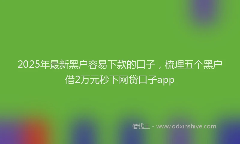 2025年最新黑户容易下款的口子，梳理五个黑户借2万元秒下网贷口子app