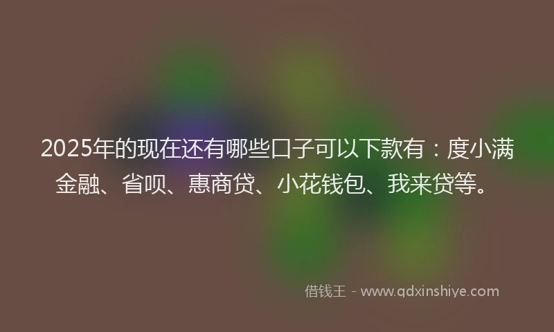 2025年的现在还有哪些口子可以下款有：度小满金融、省呗、惠商贷、小花钱包、我来贷等。