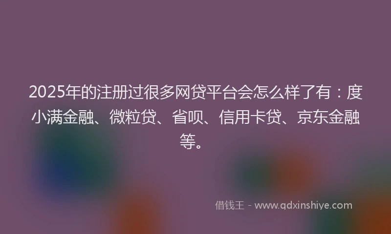2025年的注册过很多网贷平台会怎么样了有：度小满金融、微粒贷、省呗、信用卡贷、京东金融等。
