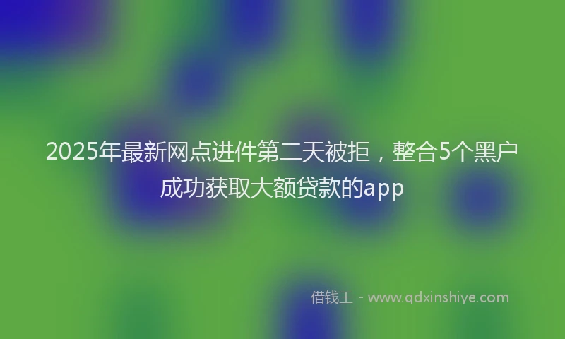 2025年最新网点进件第二天被拒，整合5个黑户成功获取大额贷款的app