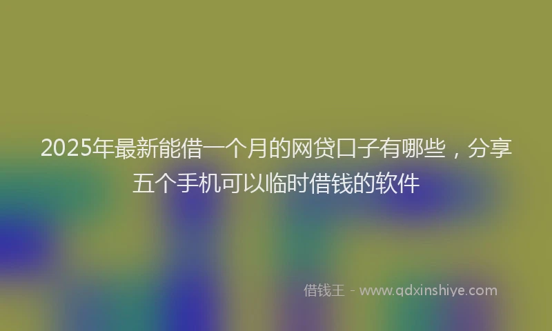2025年最新能借一个月的网贷口子有哪些，分享五个手机可以临时借钱的软件