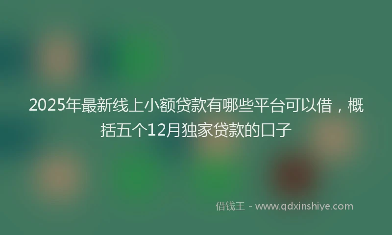 2025年最新线上小额贷款有哪些平台可以借，概括五个12月独家贷款的口子