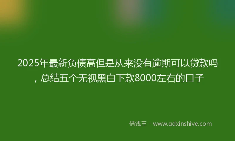 2025年最新负债高但是从来没有逾期可以贷款吗，总结五个无视黑白下款8000左右的口子