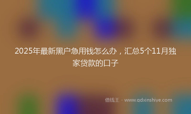 2025年最新黑户急用钱怎么办，汇总5个11月独家贷款的口子