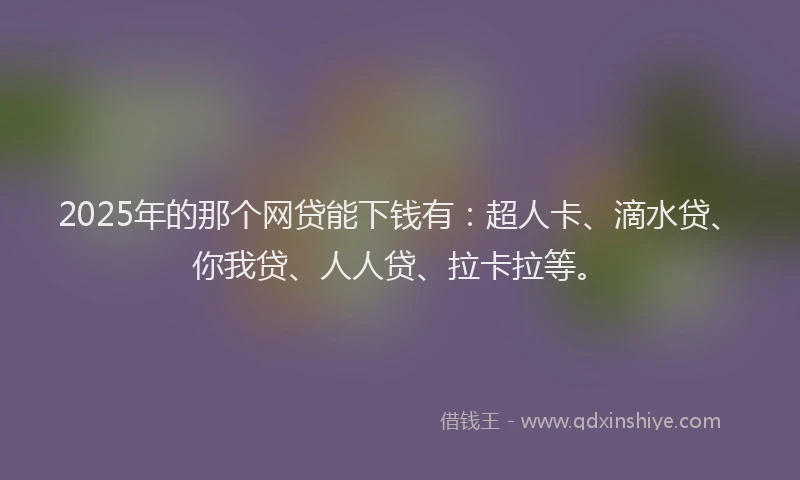 2025年的那个网贷能下钱有：超人卡、滴水贷、你我贷、人人贷、拉卡拉等。