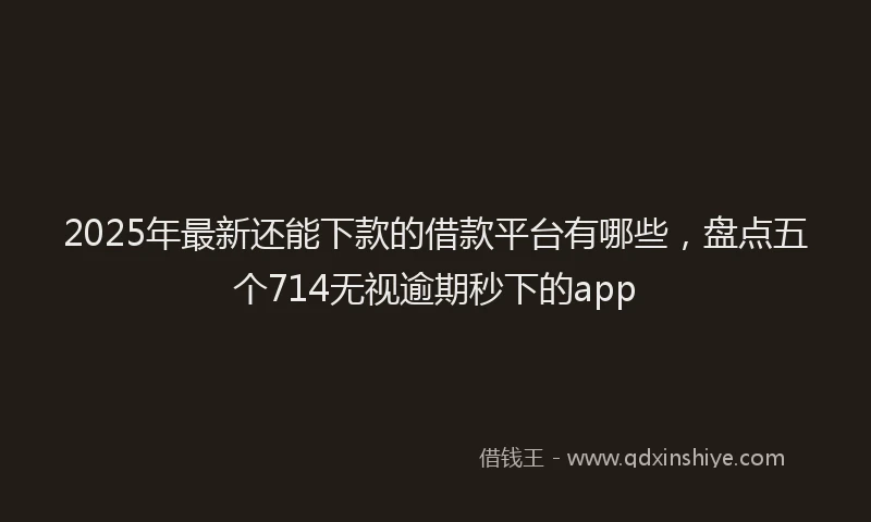 2025年最新还能下款的借款平台有哪些，盘点五个714无视逾期秒下的app
