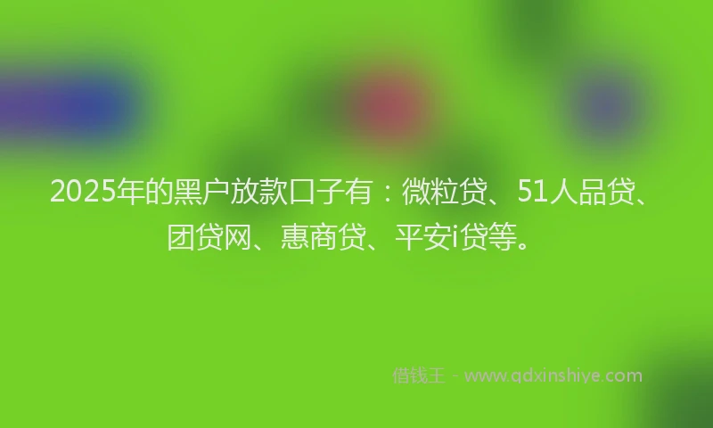 2025年的黑户放款口子有：微粒贷、51人品贷、团贷网、惠商贷、平安i贷等。