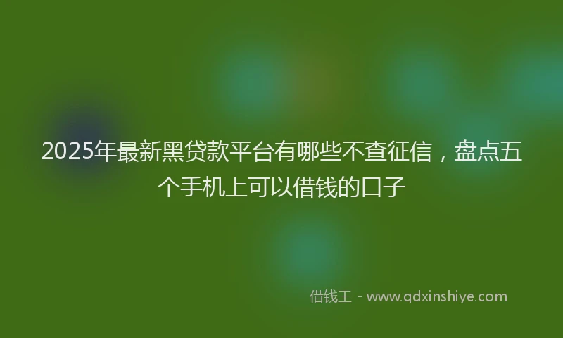 2025年最新黑贷款平台有哪些不查征信，盘点五个手机上可以借钱的口子